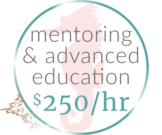 mentoring-education copy