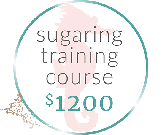 sugar-training-course-reverse